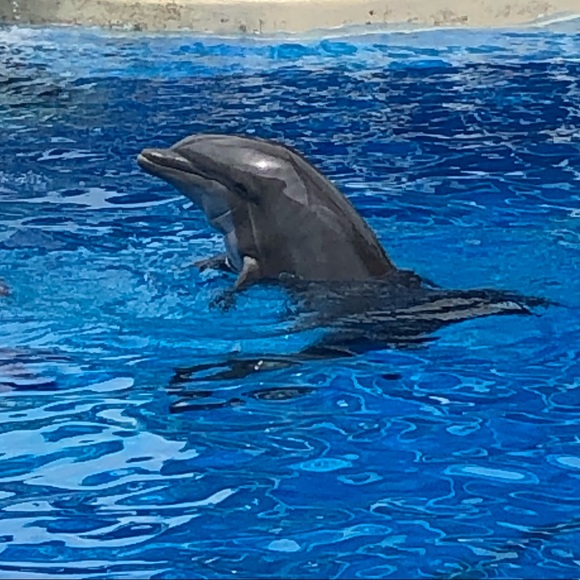 Meet the Posher Other - Meet your Posher, Jackie